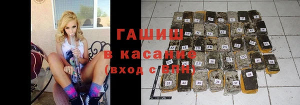 хмурый Аркадак
