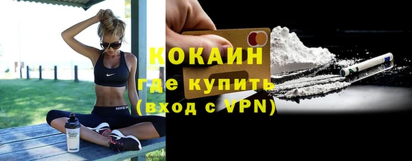 хмурый Аркадак