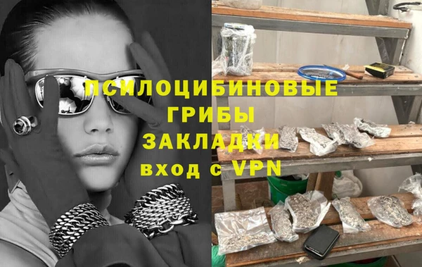 хмурый Аркадак