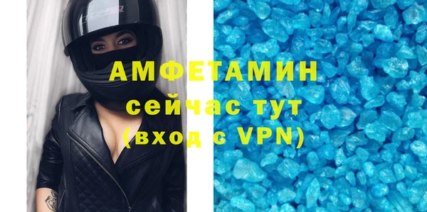 хмурый Аркадак