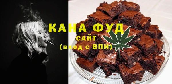 хмурый Аркадак