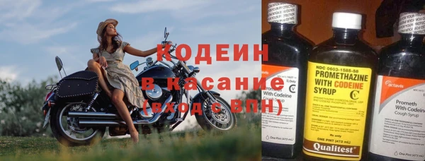 хмурый Аркадак