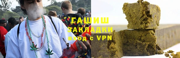 хмурый Аркадак