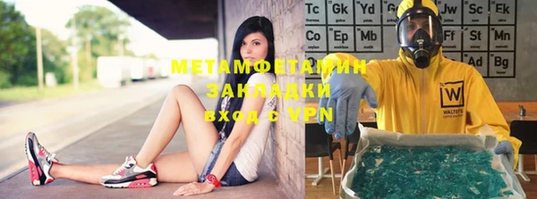 хмурый Аркадак