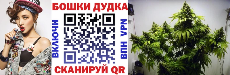 Конопля Ganja Волхов